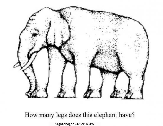 iluzii optice cate picioare are elefantul?