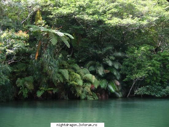 galerie foto -locuri frumoase glob insula ishigaki